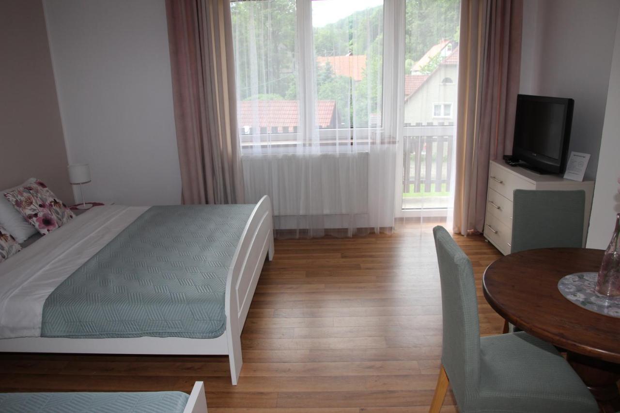 Apartamenty Agat Pieszyce Εξωτερικό φωτογραφία
